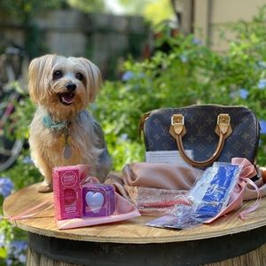 Authentic Vintage Louis Vuitton Speedy 25